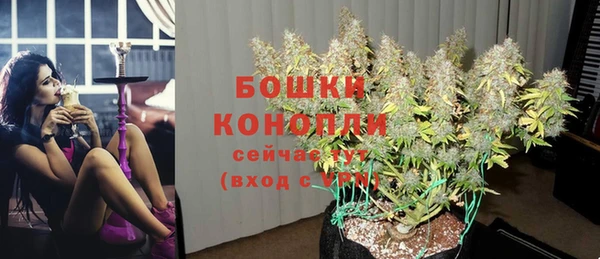 ГАЛЛЮЦИНОГЕННЫЕ ГРИБЫ Мегион