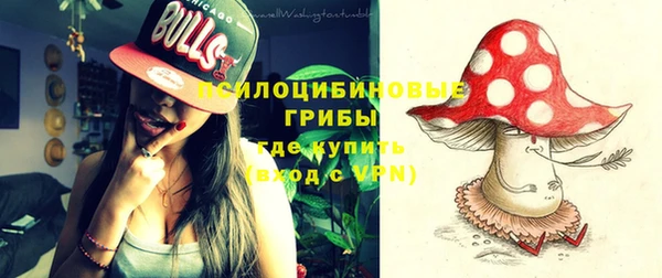 ГАЛЛЮЦИНОГЕННЫЕ ГРИБЫ Мегион